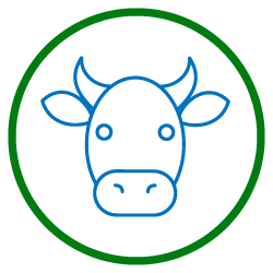 linea ganadera hocam